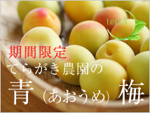 �Ă炪���_���̖��_��E���엿�~