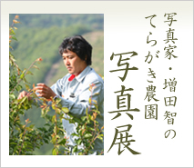 �ʐ^�ƁE���c�q�̂Ă炪���_���ʐ^�W
