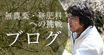 �썂�~�̖��_��E���엿�y���R�͔|�z�ւ̒���E�u���O